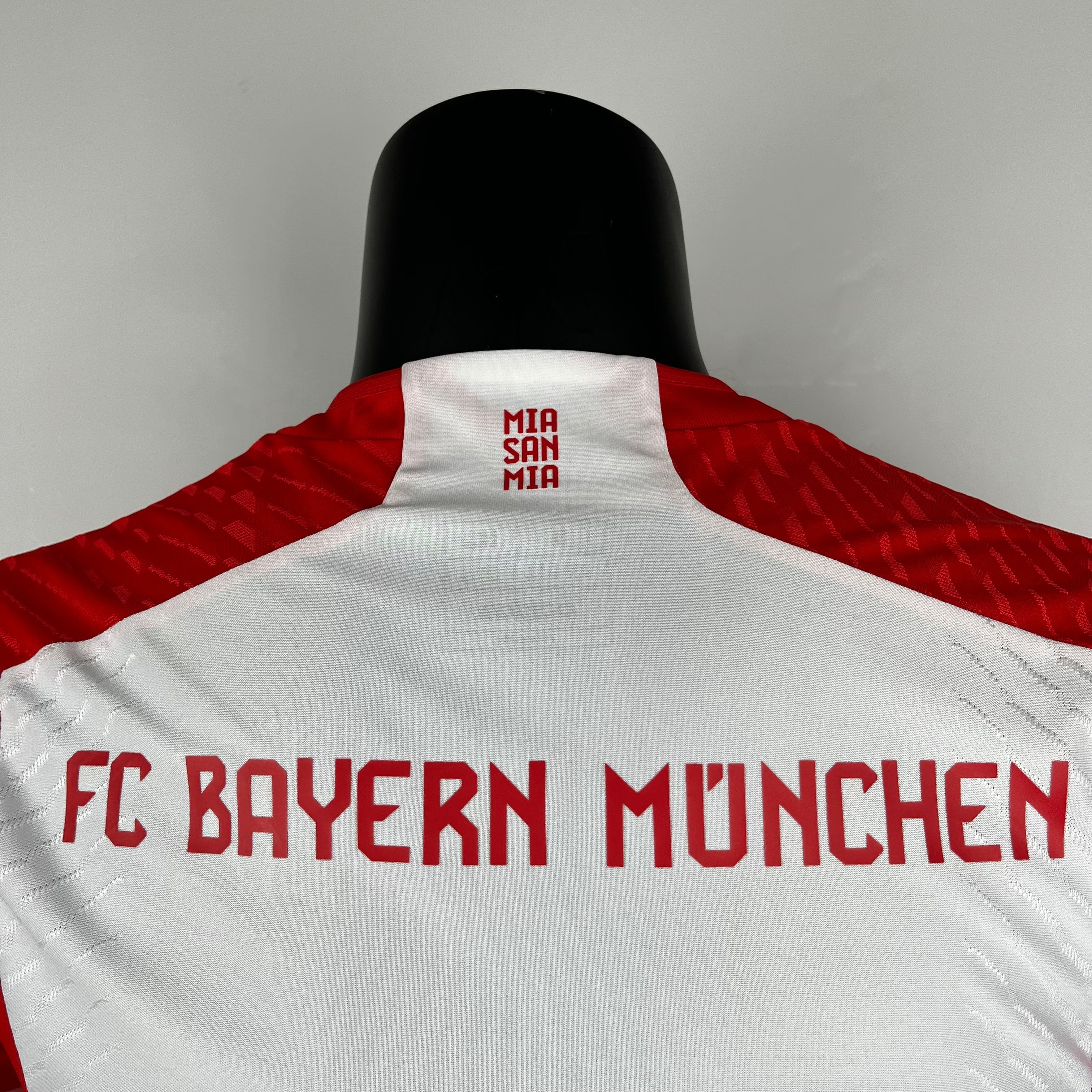 Bayern Munich I 23/24 (Player Version)