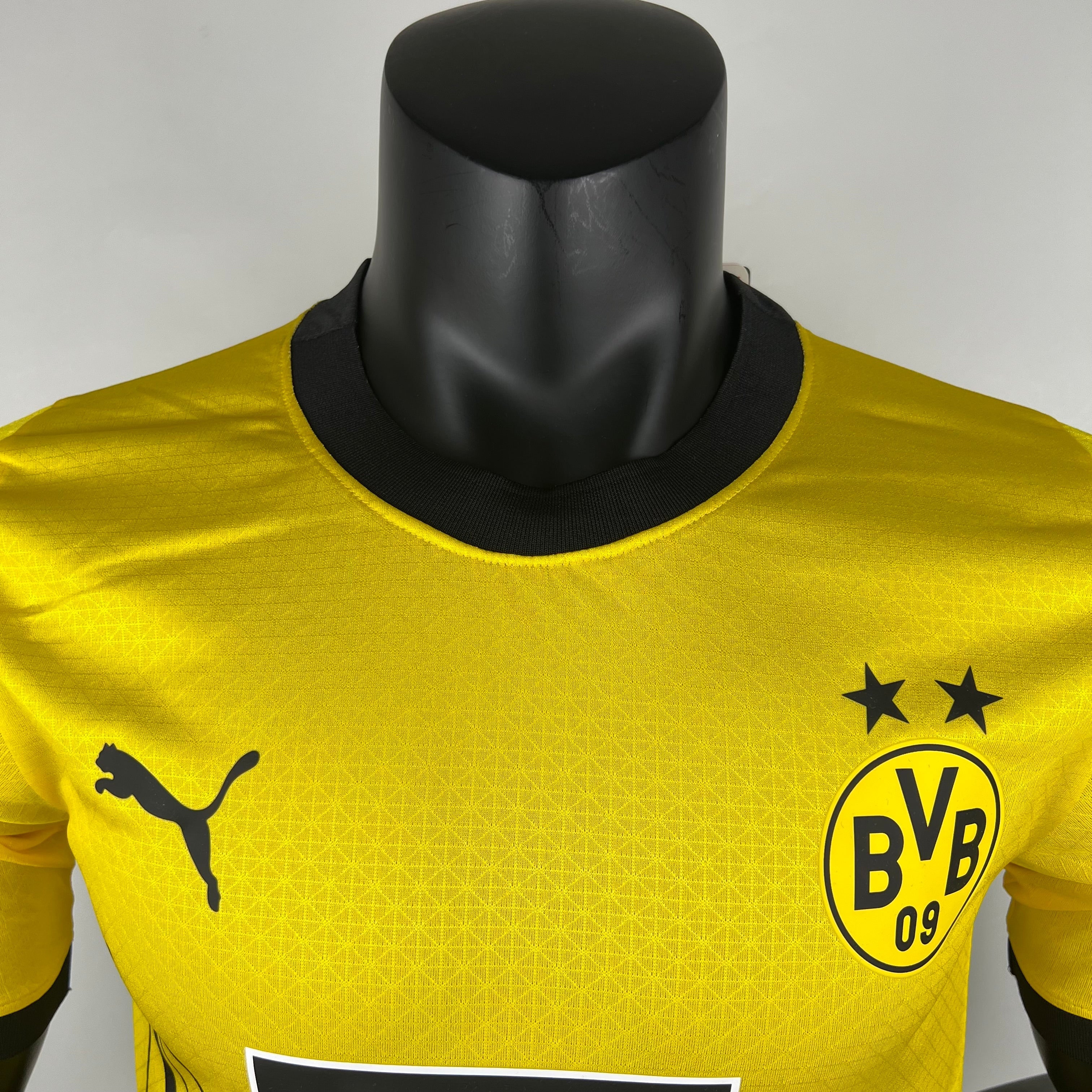 Borussia Dortmund I 23/24 (Oyuncu Versiyonu)