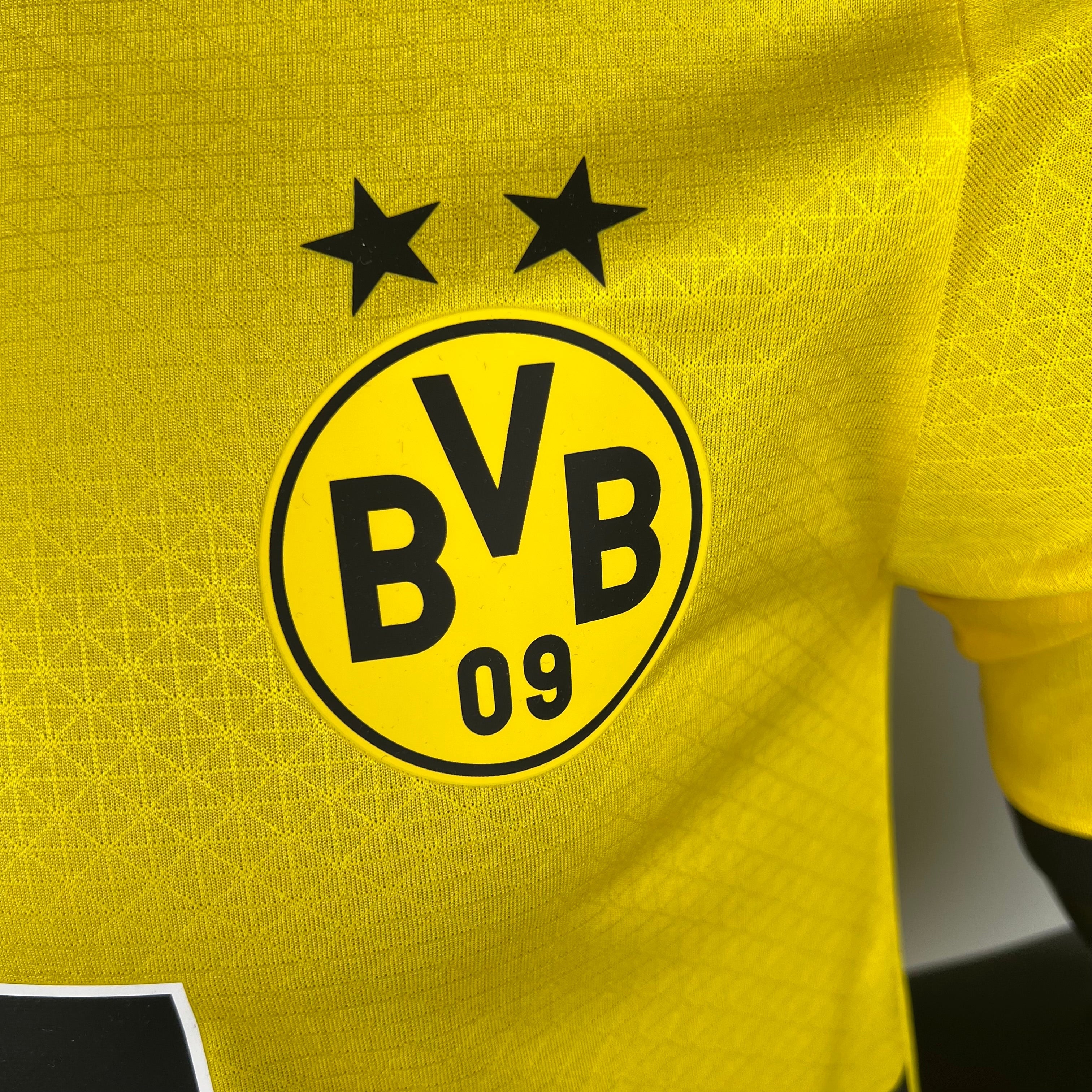 Borussia Dortmund I 23/24 (Oyuncu Versiyonu)