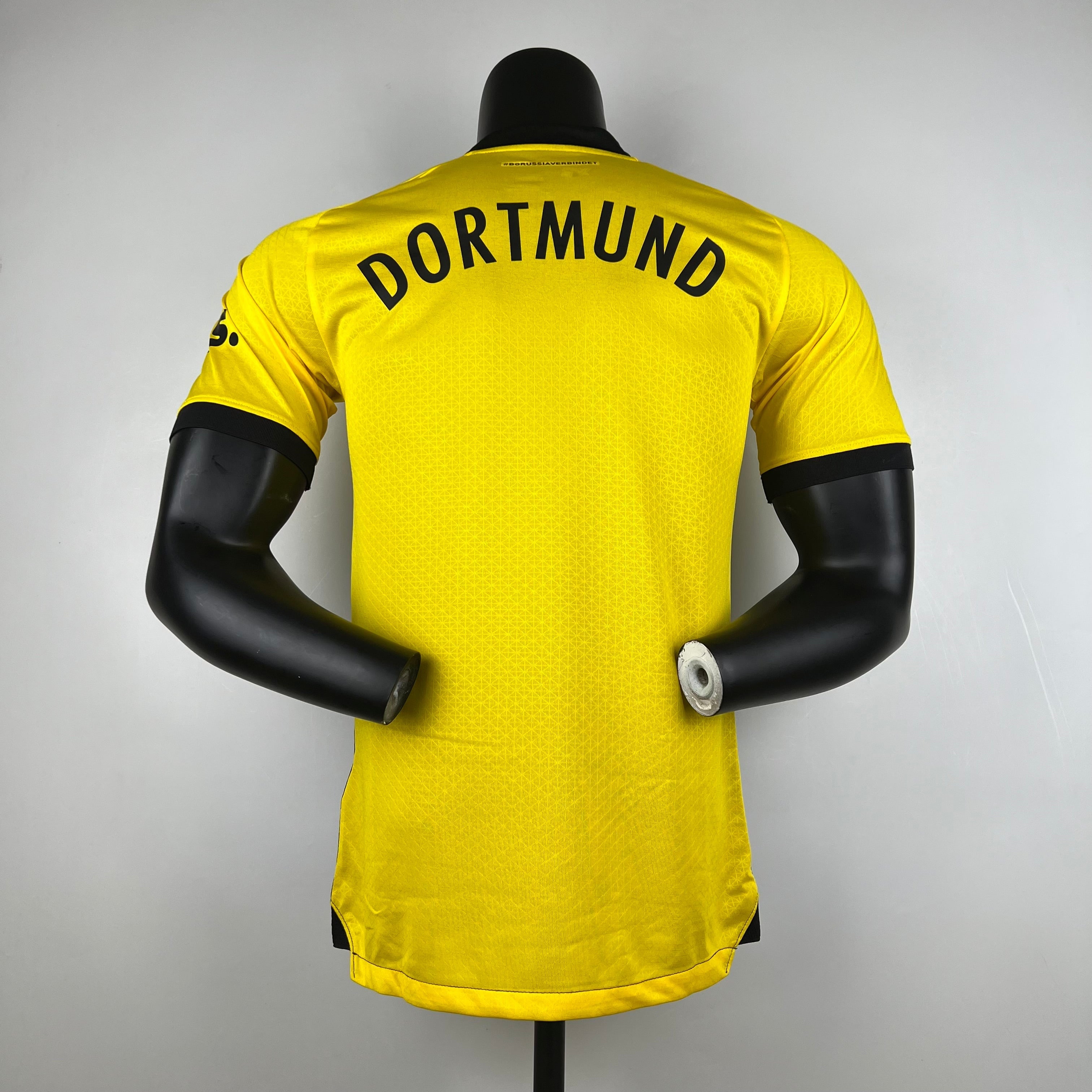 Borussia Dortmund I 23/24 (Player Version)