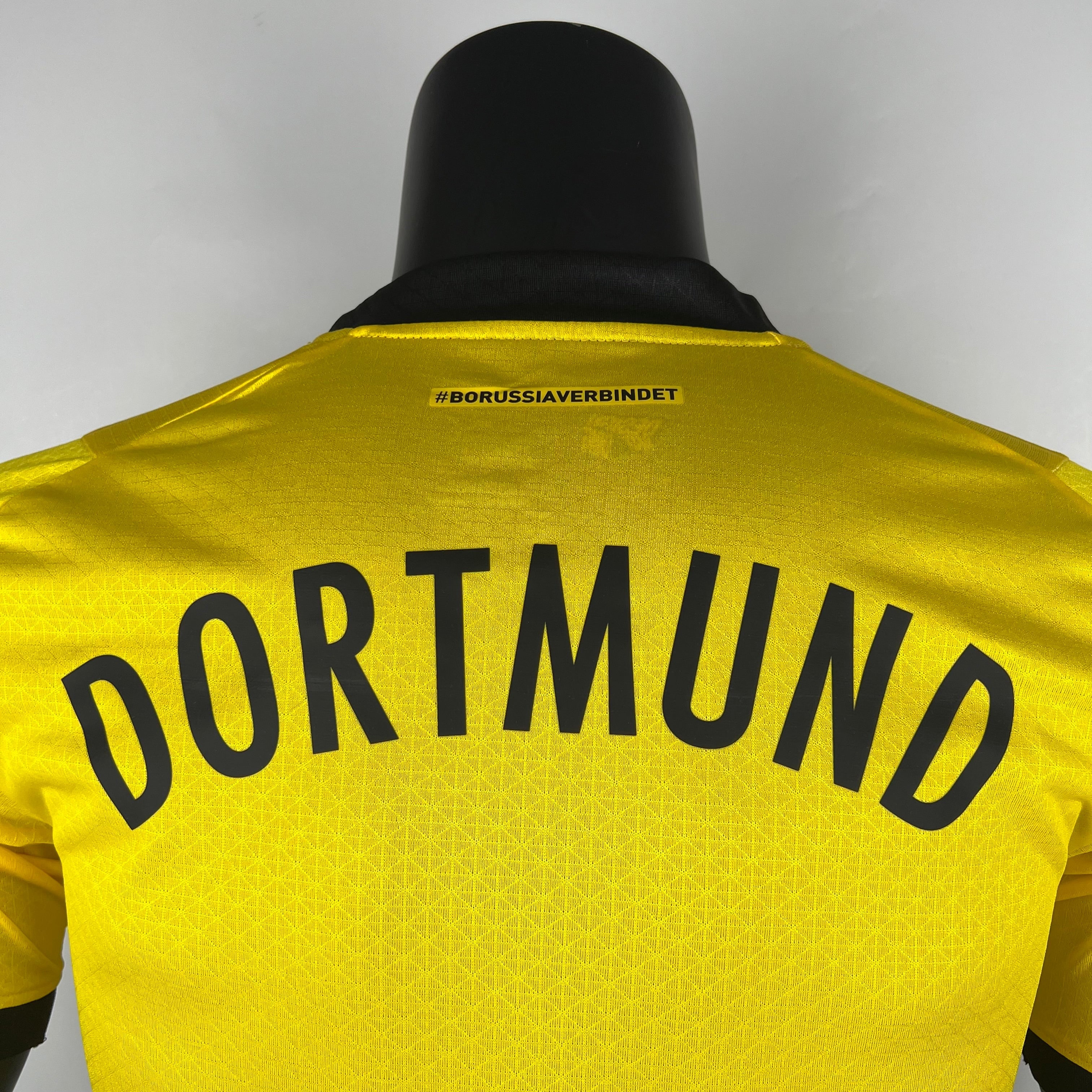 Borussia Dortmund I 23/24 (Player Version)