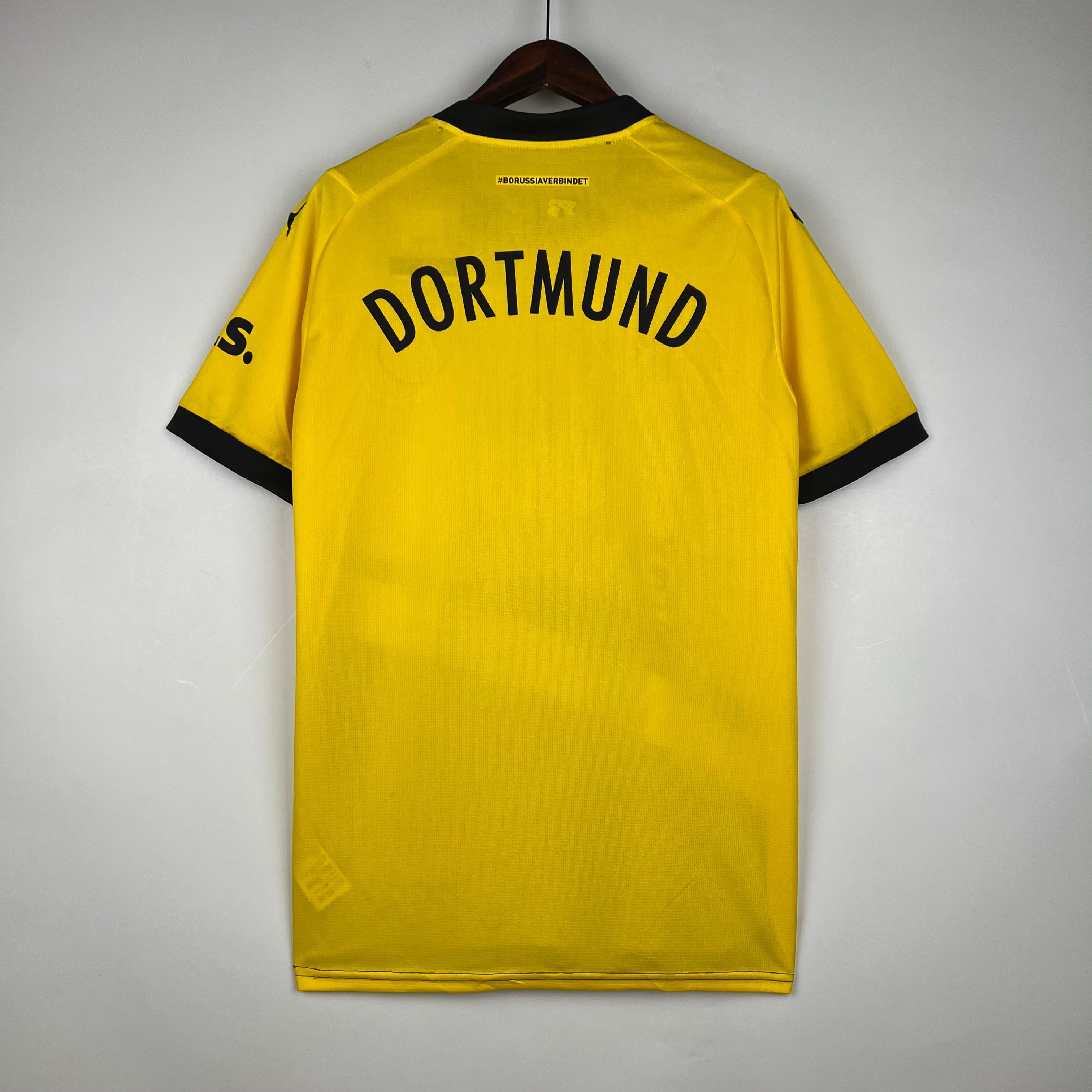 Borussia Dortmund I 23/24 Fear